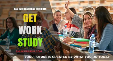 Work Study: International Students' Opportunities