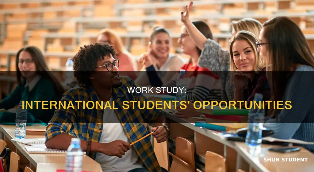 can international students get work study