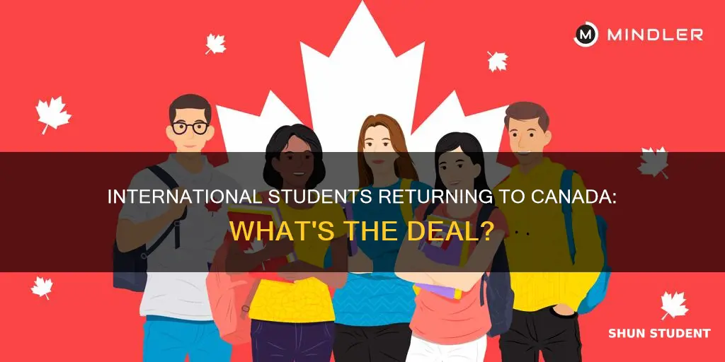 can international students go back to canada