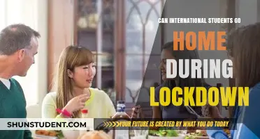International Students: Can They Go Home?