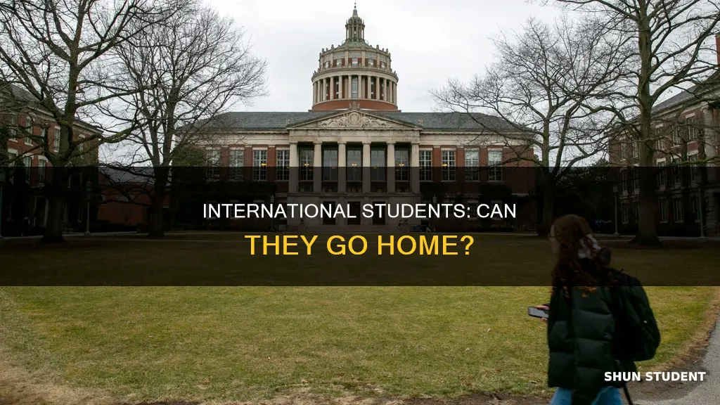 can international students go home during lockdown