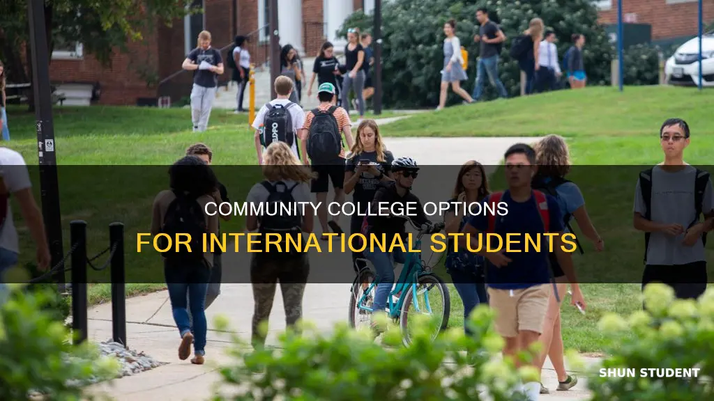 can international students go to community college