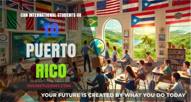 International Students: Exploring Puerto Rico's Opportunities