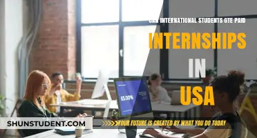Paid Internships in the USA: Options for International Students