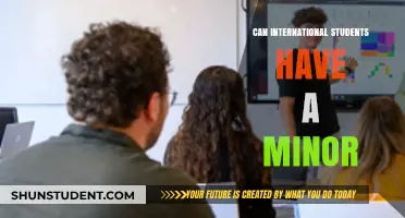 Exploring Minors: Options for International Students