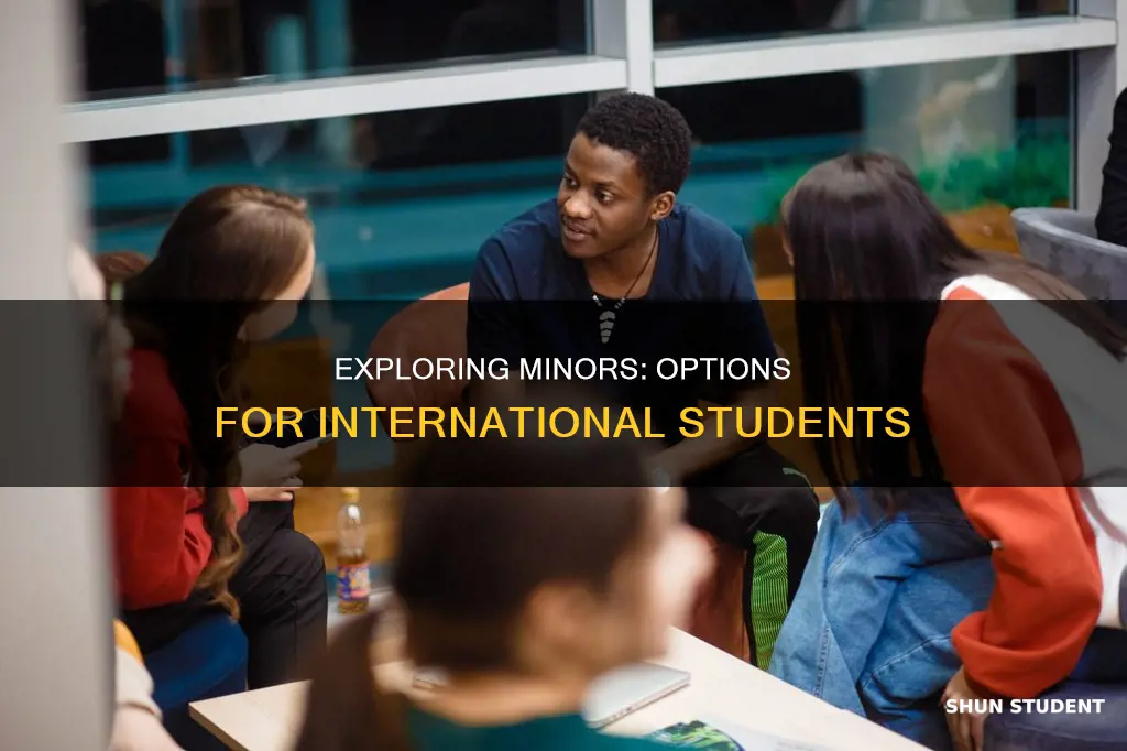 can international students have a minor