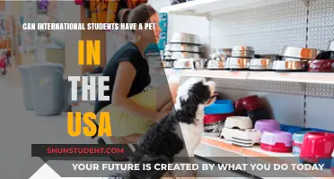 Pet Ownership for International Students in the USA