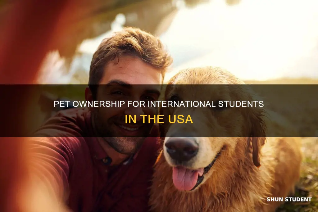 can international students have a pet in the usa