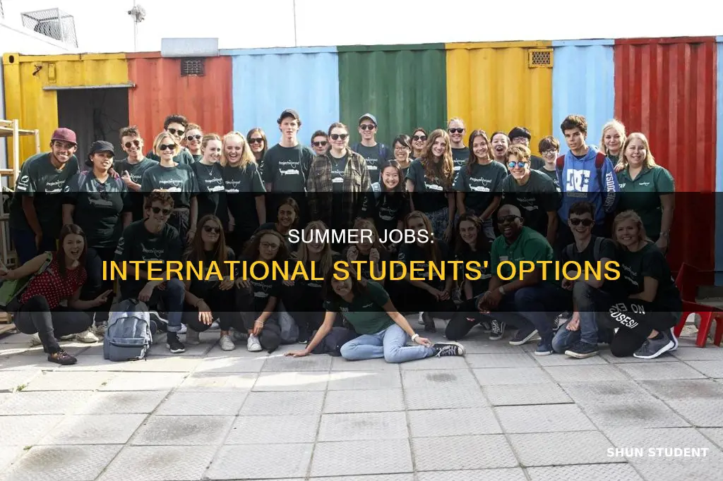 can international students have a summer job