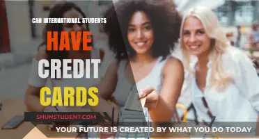 Credit Cards for International Students: Possibilities and Hurdles