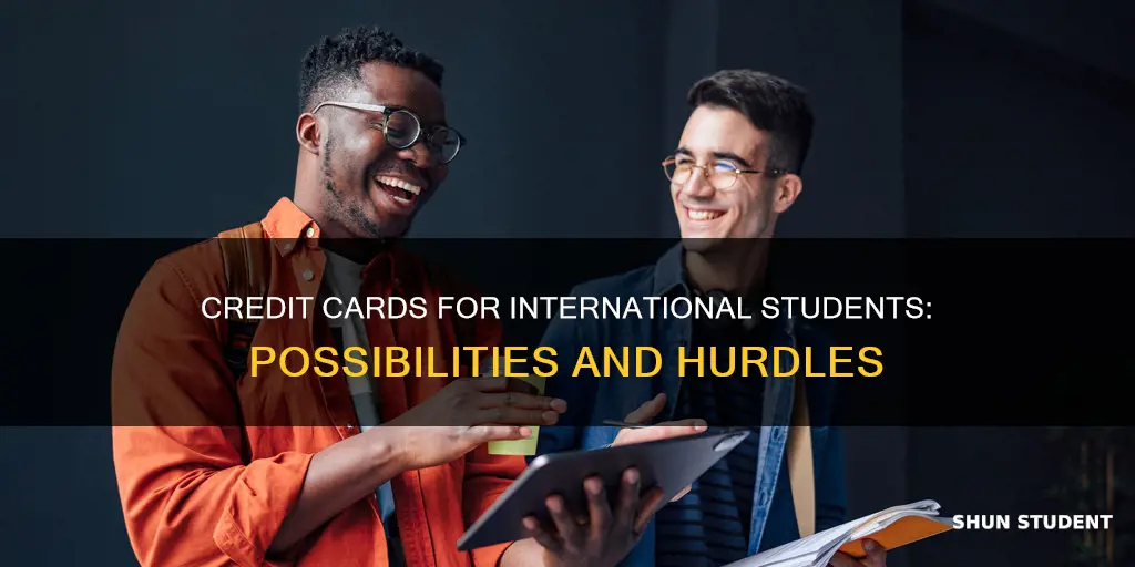 can international students have credit cards