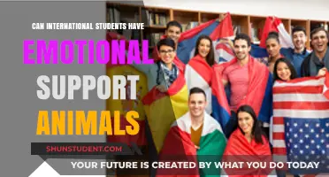 Emotional Support Animals: International Students' Rights
