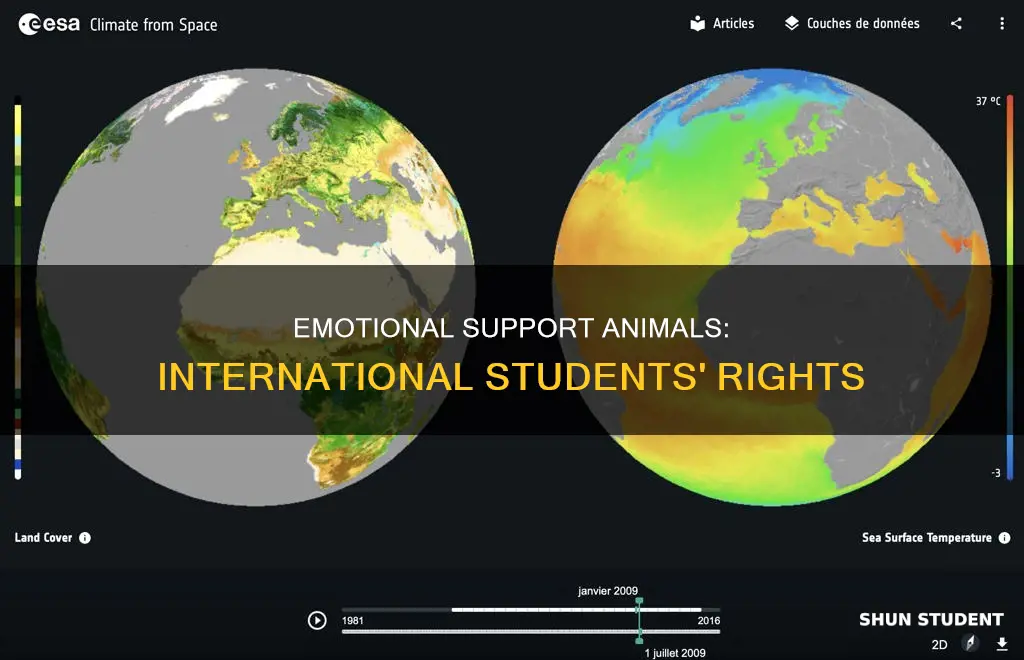 can international students have emotional support animals