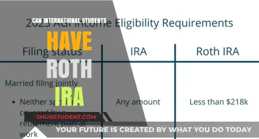 International Students: Roth IRA Eligibility