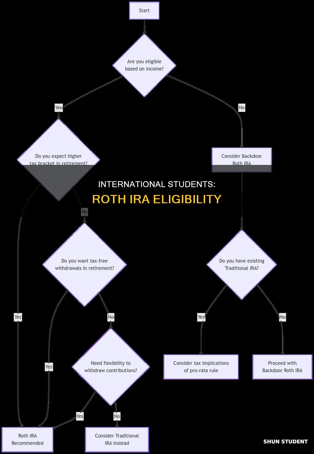 can international students have roth ira