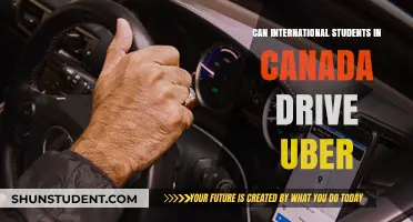 International Students in Canada: Can They Drive for Uber?