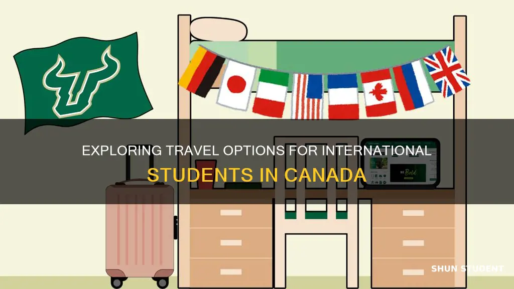can international students in canada go to mexico