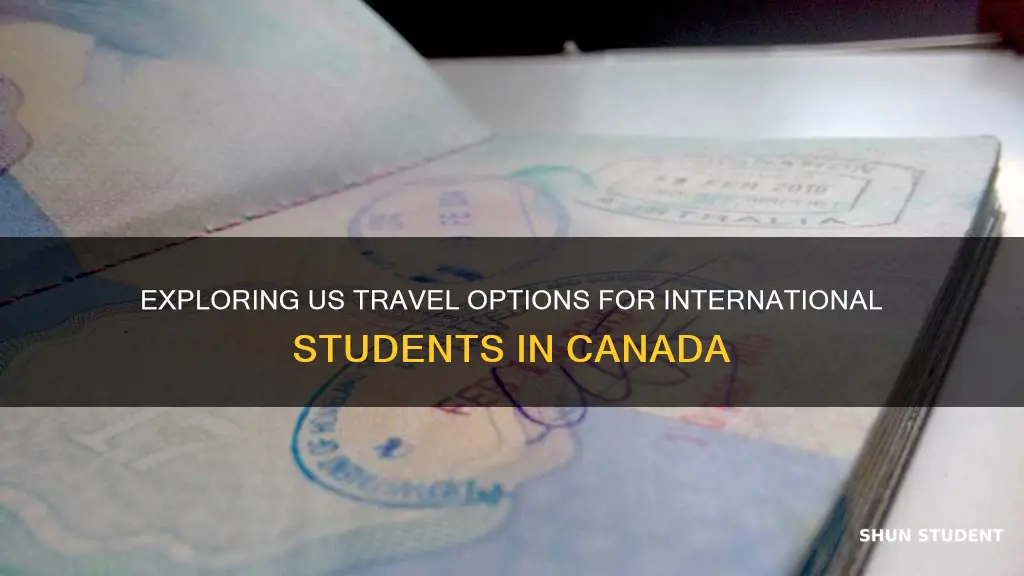 can international students in canada travel to usa