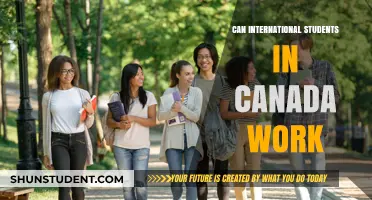 Working in Canada: Options for International Students