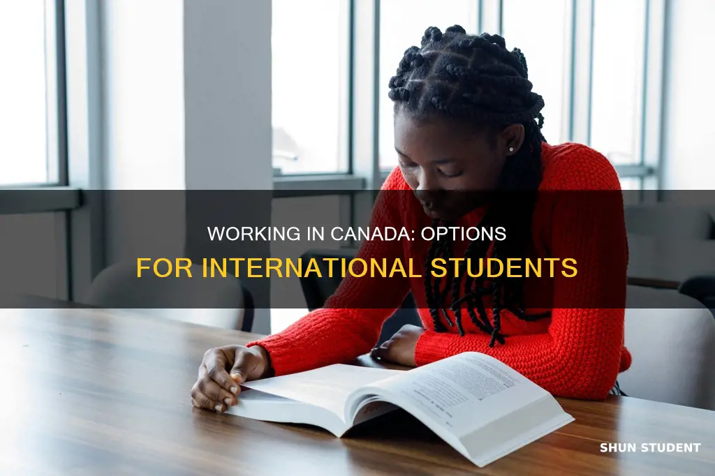 can international students in canada work