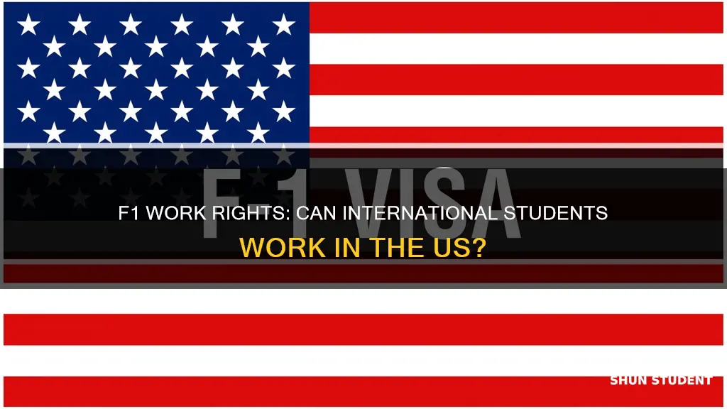 can international students in the us work on f1