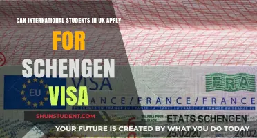 International Students in the UK: Schengen Visa Application
