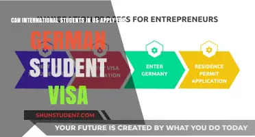 International Students in the US: German Visa Options