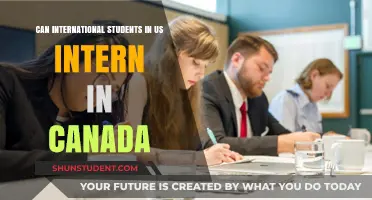 Interning in Canada: Options for US International Students