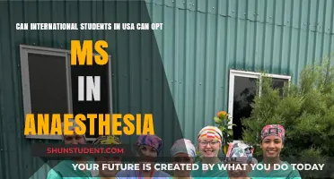 International Students: Anesthesia MS Eligibility in the US