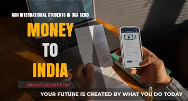 Sending Money to India: Options for International Students in the US