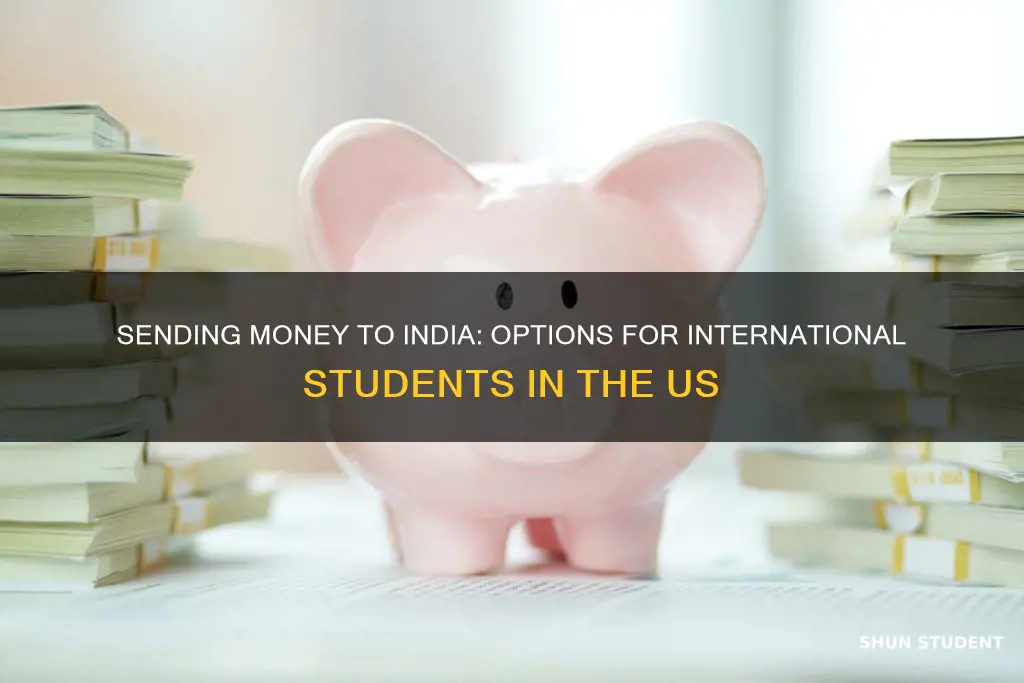 can international students in usa send money to india