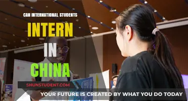 Interning in China: Opportunities for International Students
