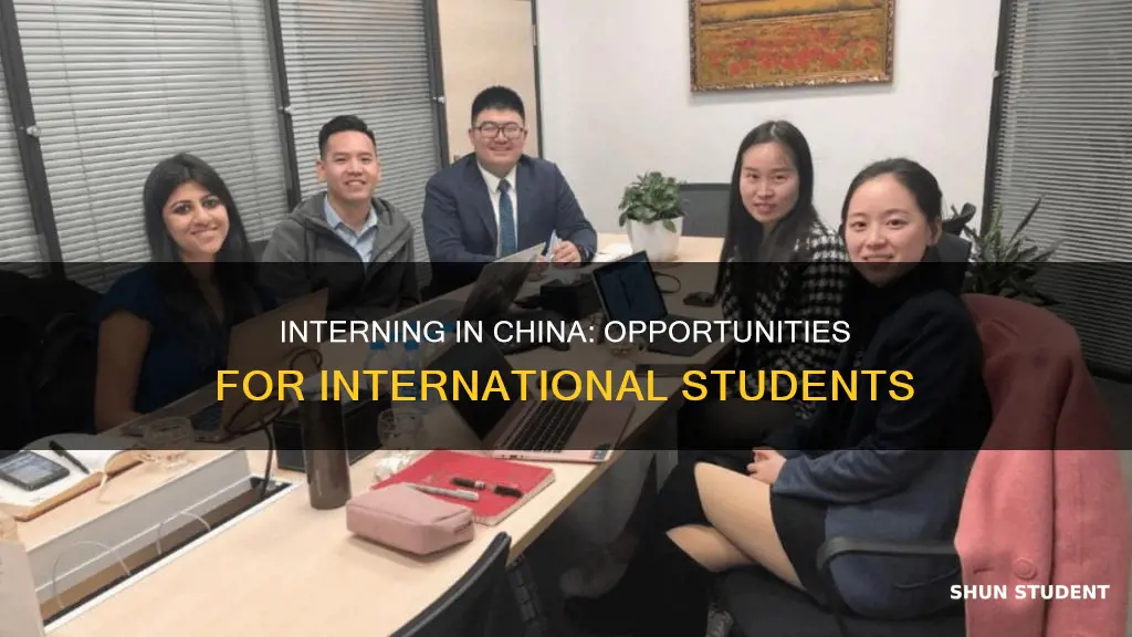 can international students intern in china