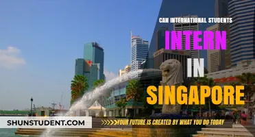 Internships in Singapore: Are Foreign Students Eligible?