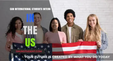 Interning in the US: Options for International Students