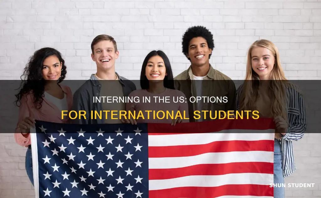 can international students intern in the us