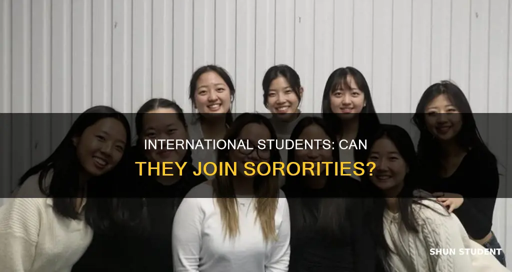 can international students join sororities