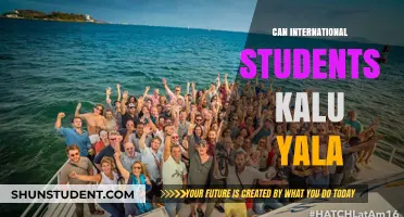 International Students: Can They Join Kalu Yala?