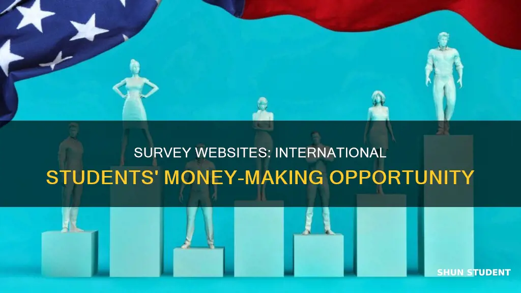 can international students make money from survey websites
