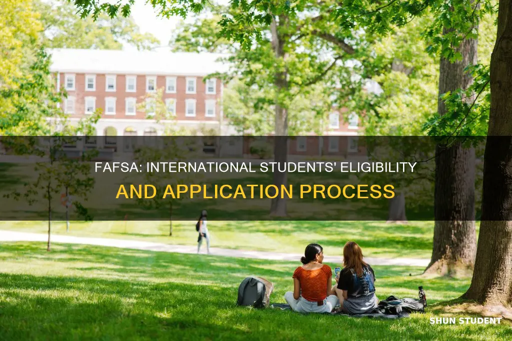 can international students may apply for fafsa