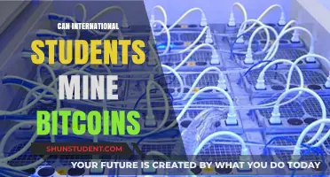 International Students and Bitcoin Mining: Is It Allowed?
