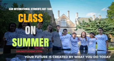 Summer Break: International Students' Dilemma