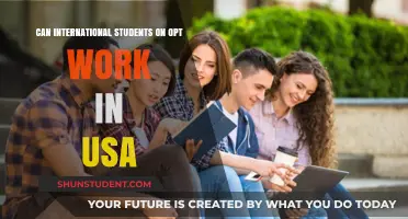 OPT Employment: International Students' USA Work Rights