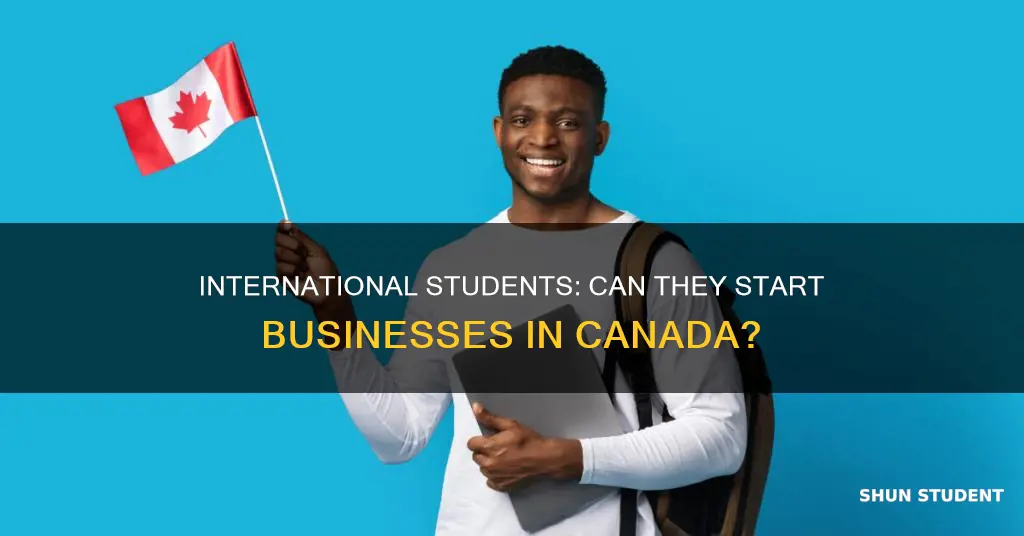 can international students open a business in canada