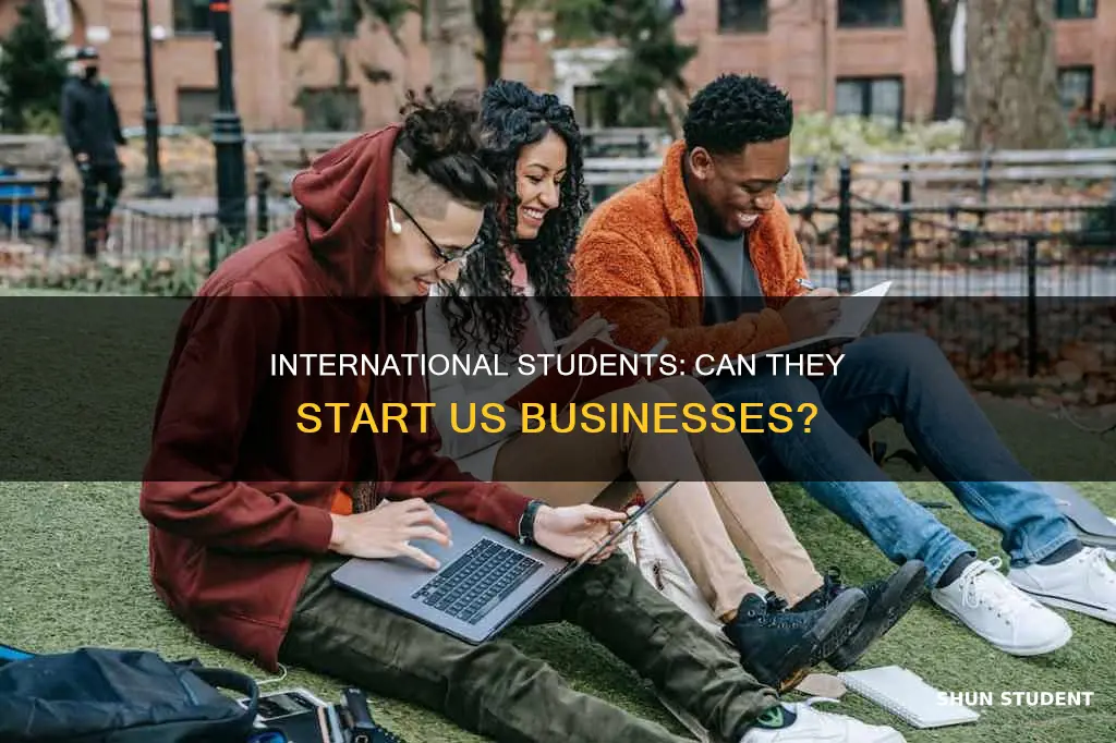 can international students open a business in usa