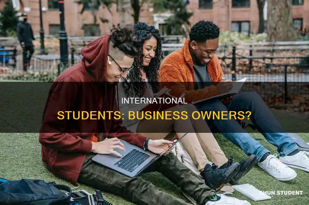 can international students own a business