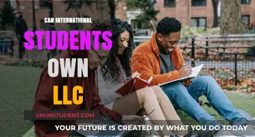 International Students: Can They Own LLCs?