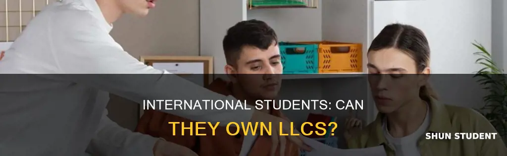 can international students own llc