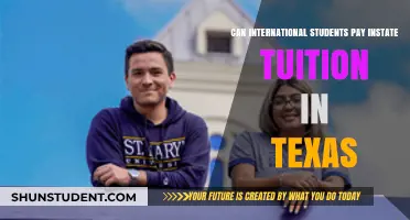 International Students: In-State Tuition in Texas?