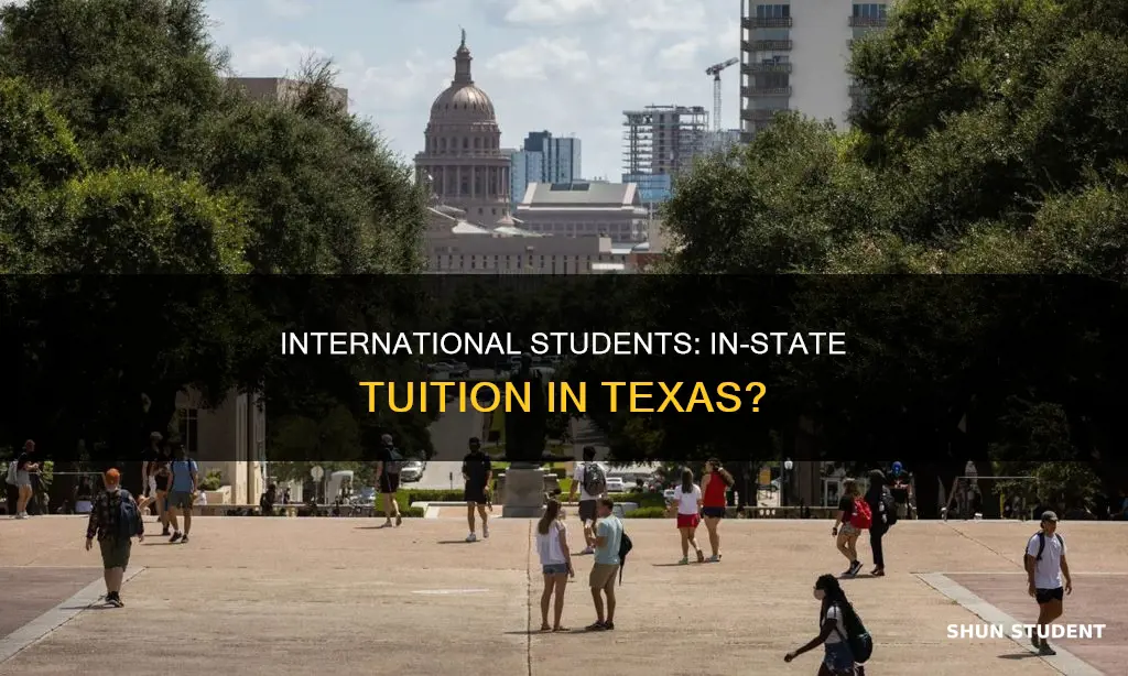 can international students pay instate tuition in texas